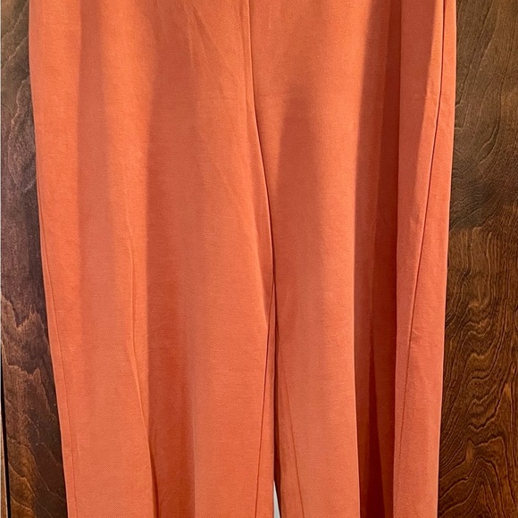 LOFT Terracotta color Wide-Leg Pants - Picture 4 of 4